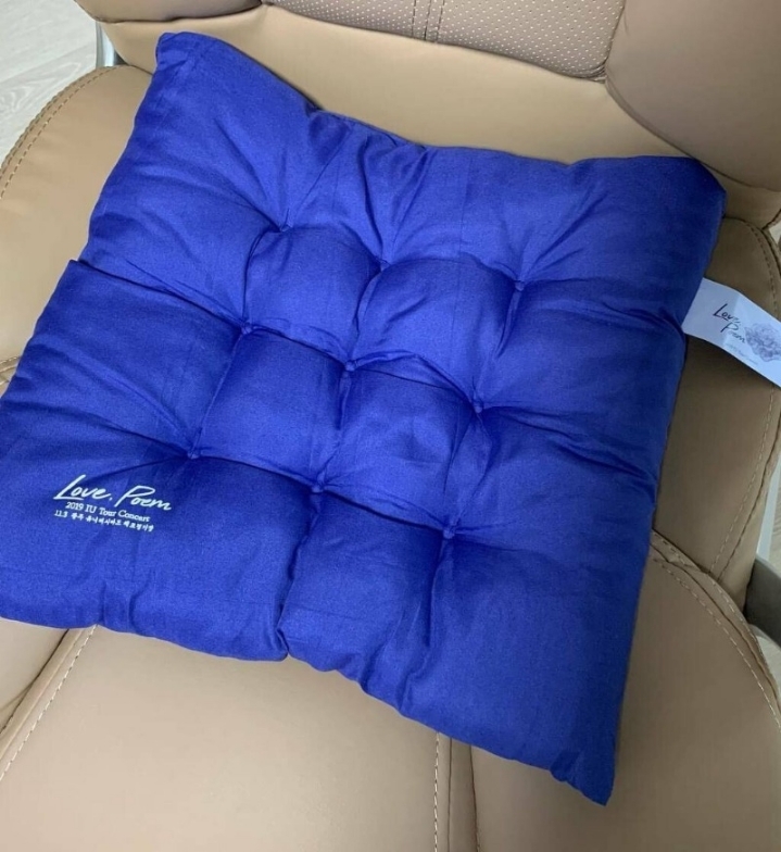 아이유 콘서트 전리품 | 인스티즈