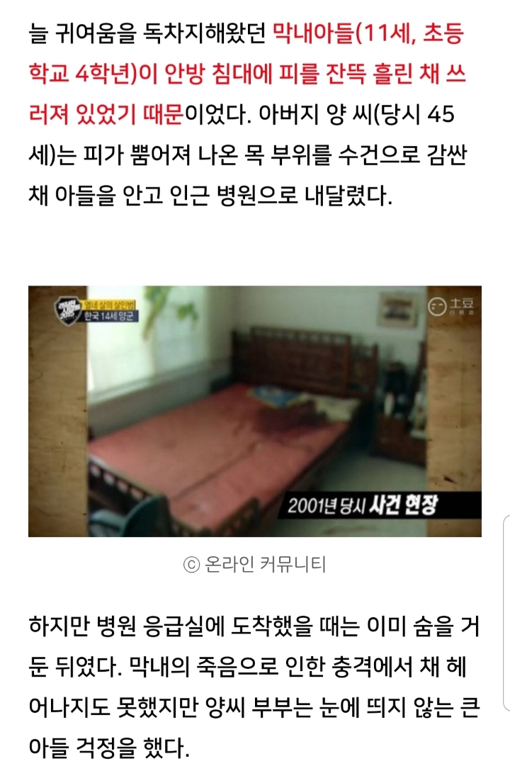 지금 우리 주변에 있는 친동생 도끼살인 사이코패스 시끼 | 인스티즈