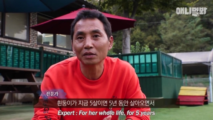산책로 화장실에 유기된 강아지의 사연.jpg | 인스티즈