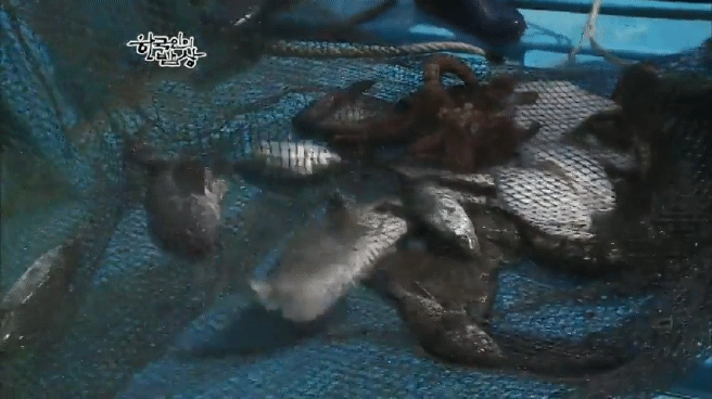 한국인의 밥상 여수 봄바다편 | 인스티즈