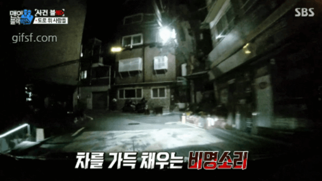 골목길에서 만난 도라이.jpgif | 인스티즈