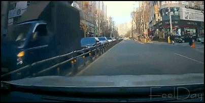 고라니 회피 기동.gif | 인스티즈