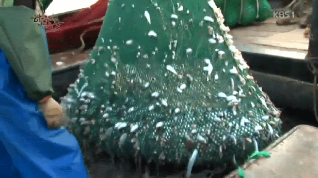 한국인의 밥상 갈치편 | 인스티즈