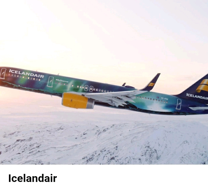 특이한 디자인을 가진 세계 항공사들 | 인스티즈