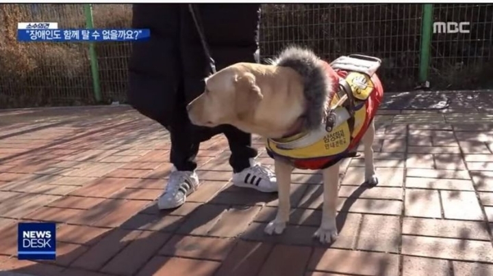 버스 한 대 타는데 30분 걸리는 사람...jpg | 인스티즈
