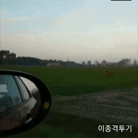 루돌프의 실제 피지컬 | 인스티즈