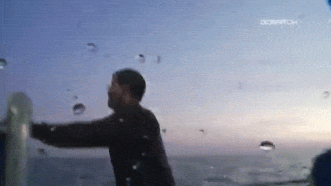 수족관에 백상아리가 없는 이유 | 인스티즈