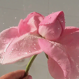 공수처법 통과에 가장 기뻐하실 분....jpg | 인스티즈