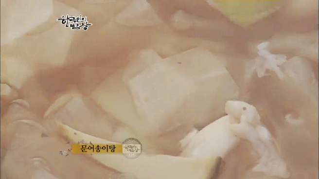 한국인의 밥상 울진 문어편 | 인스티즈