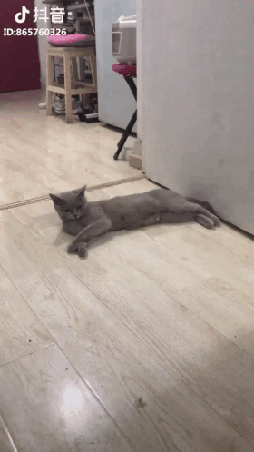그냥 가만히 있던 범생이.gif | 인스티즈