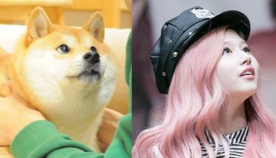 덩어리 이미지