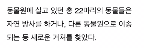 경영난으로 문 닫은 텅 빈 포천동물원에서 홀로 빈 집 지키는 곰돌이 | 인스티즈