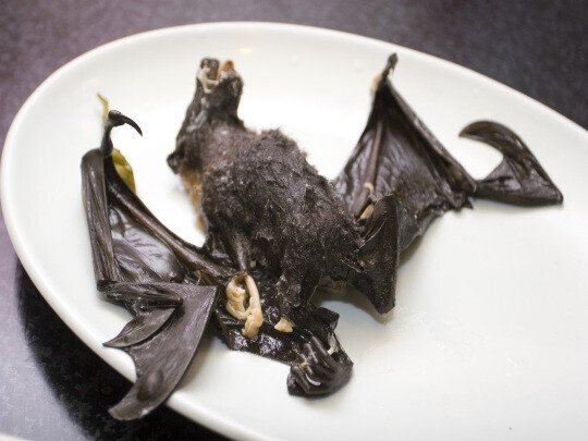 다먹는 중국인 (혐오주의) | 인스티즈