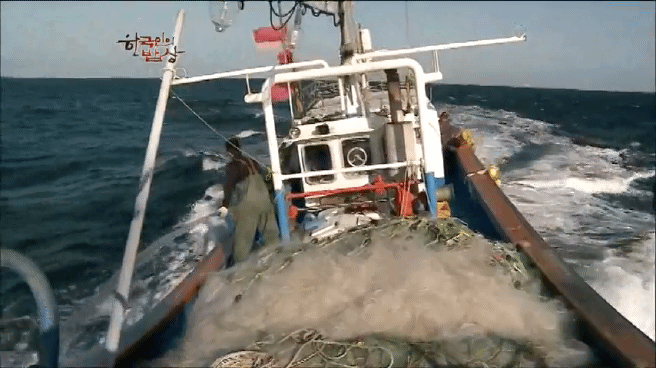 한국인의 밥상 추자도 참조기 밥상편 | 인스티즈