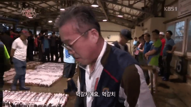 한국인의 밥상 갈치편 | 인스티즈