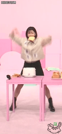 정연이와 모모 식빵게임 .gif | 인스티즈