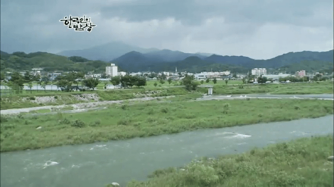 한국인의 밥상 함양 갈비편 | 인스티즈