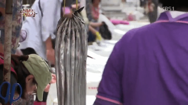 한국인의 밥상 갈치편 | 인스티즈