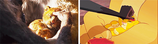 라이온킹 1994/2019 비교.jpgif | 인스티즈