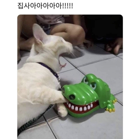 집사야~ | 인스티즈
