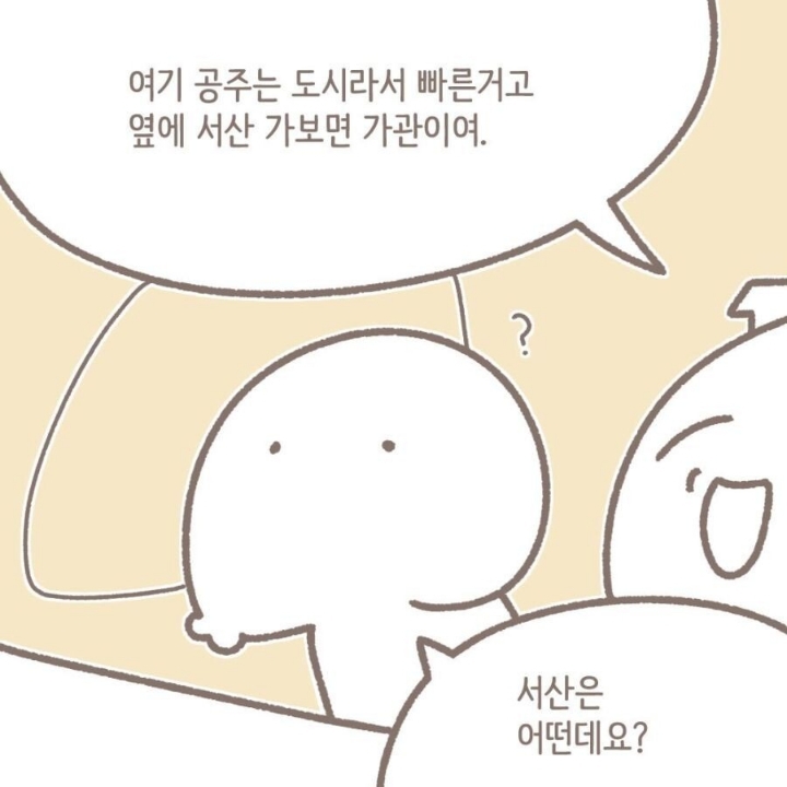 충청도 사람들은 사실 느리지 않은 만화.jpg | 인스티즈