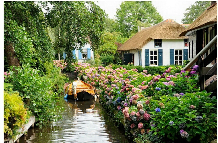 네덜란드의 차 없는 동네.jpg | 인스티즈