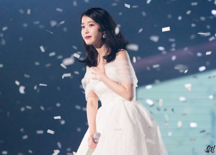 아이유 콘서트용 드레스 크기.jpg | 인스티즈
