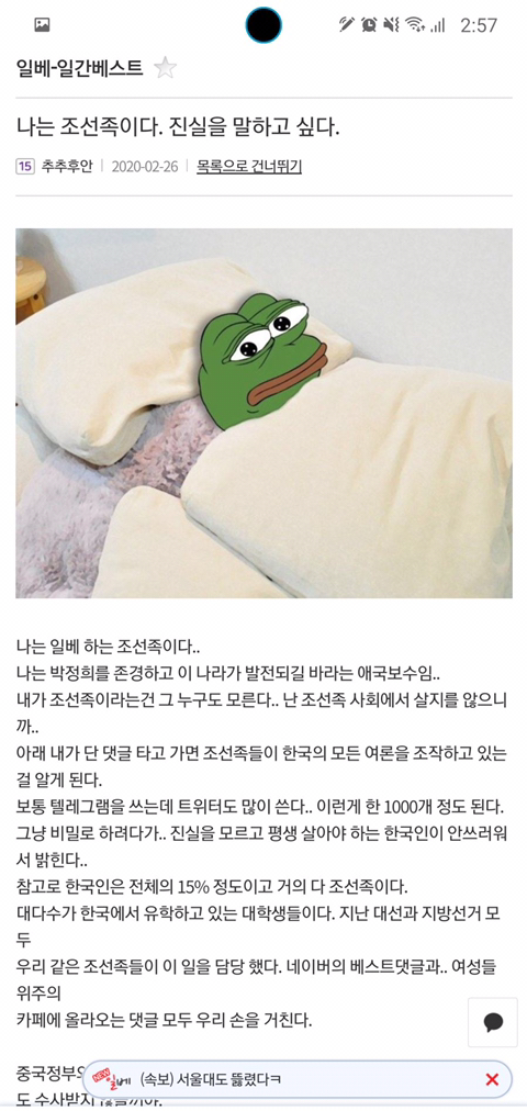 한국에서 중국을 끌여들여 여론 조작한다고 주장하는 이들이 들이미는 증거 | 인스티즈