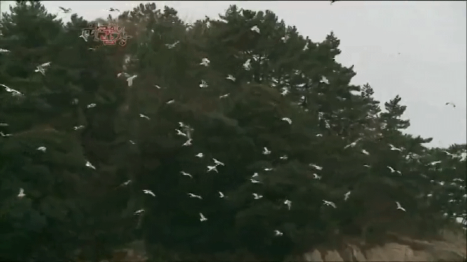 한국인의 밥상 물메기 밥상편 | 인스티즈