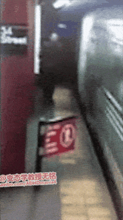 어이없는 죽음 (혐오주의) | 인스티즈