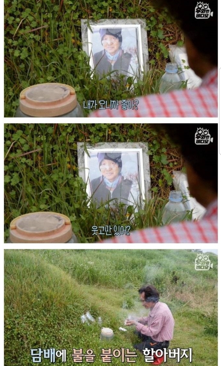 스압) 할아버지의 무덤 로맨스.jpg | 인스티즈