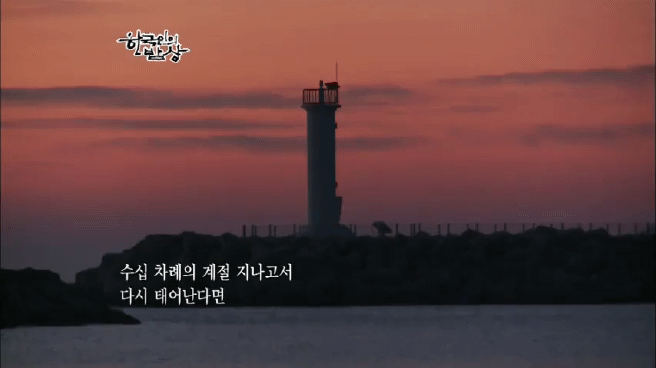 한국인의 밥상 울진 문어편 | 인스티즈