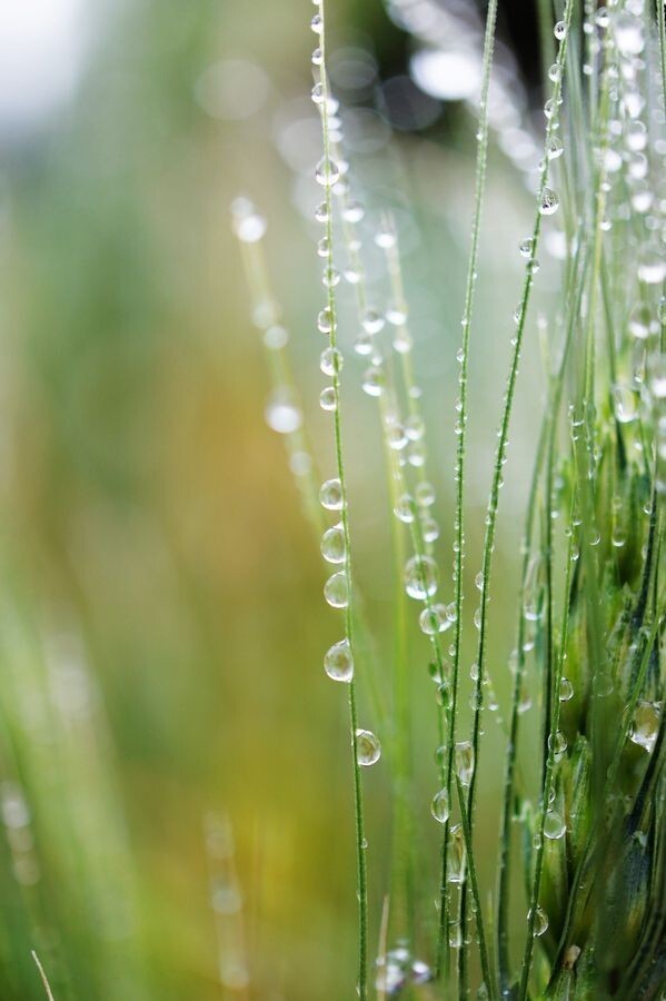 일본의 만행에 .. 충격받은 터키인.jpg | 인스티즈