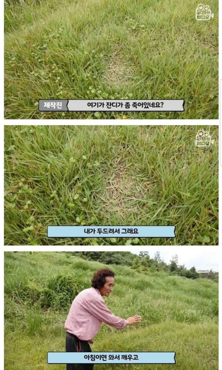 스압) 할아버지의 무덤 로맨스.jpg | 인스티즈