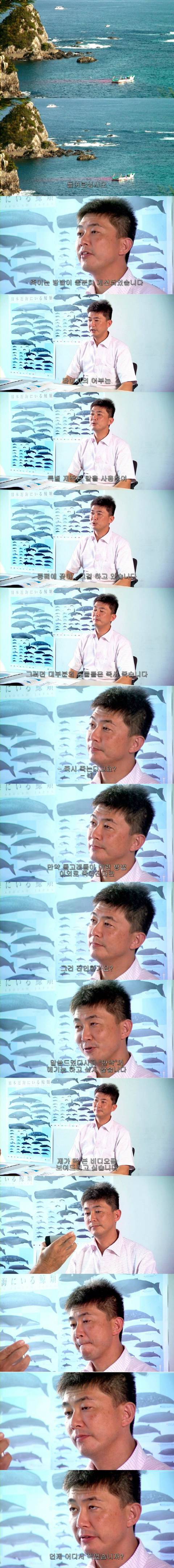 혐) 돌고래 학살하는 일본인.jpg | 인스티즈