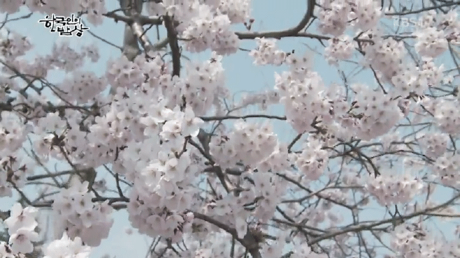 한국인의 밥상 섬진강편 | 인스티즈