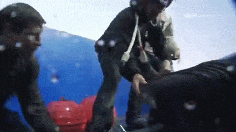 수족관에 백상아리가 없는 이유 | 인스티즈