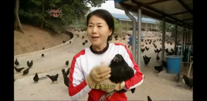 한국인의 밥상 삼계탕편 | 인스티즈