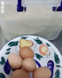판다곰들이 먹는 빵 | 인스티즈