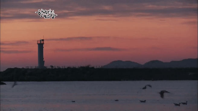 한국인의 밥상 울진 문어편 | 인스티즈