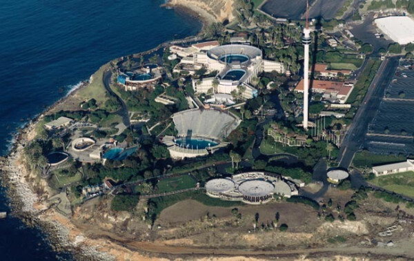 수족관에 백상아리가 없는 이유 | 인스티즈