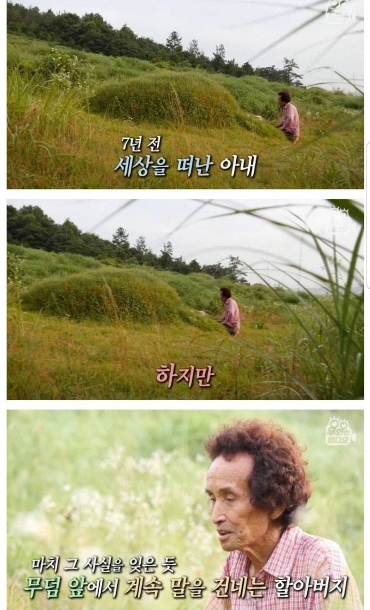 스압) 할아버지의 무덤 로맨스.jpg | 인스티즈