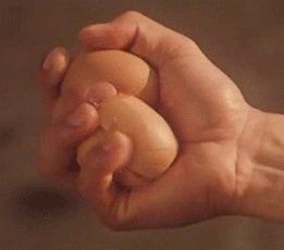 알까기..100％ 터짐 | 인스티즈