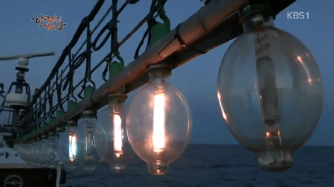 한국인의 밥상 갈치편 | 인스티즈