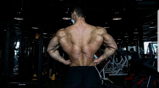 국내 피지크를 1년여만에 접수한 괴물신인 김민수 | 인스티즈