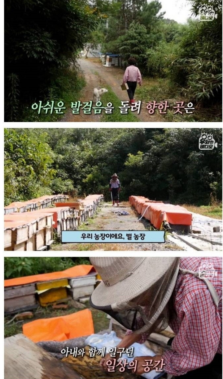 스압) 할아버지의 무덤 로맨스.jpg | 인스티즈