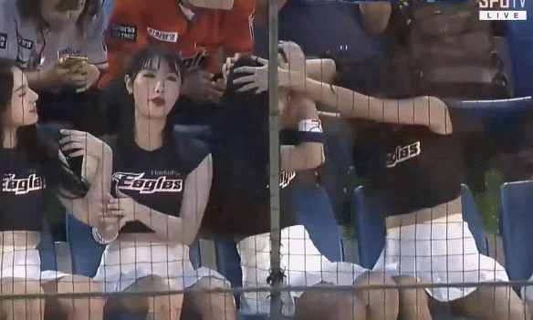 싸우는 치어리더.gif | 인스티즈