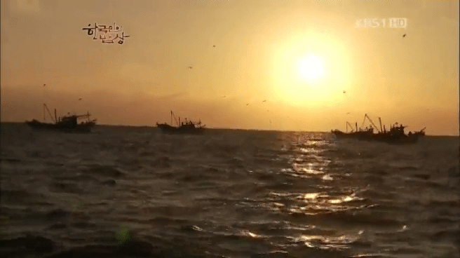 한국인의 밥상 제주 방어편 | 인스티즈