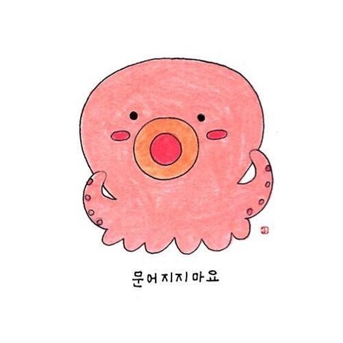 미녀가 많은 나라 베스트10 | 인스티즈