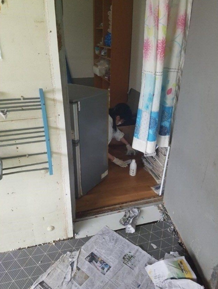 대한민국 연예인 원탑.jpg | 인스티즈